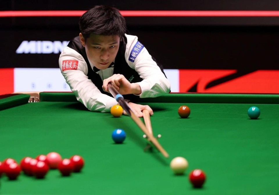 他们似乎已 他们似乎已